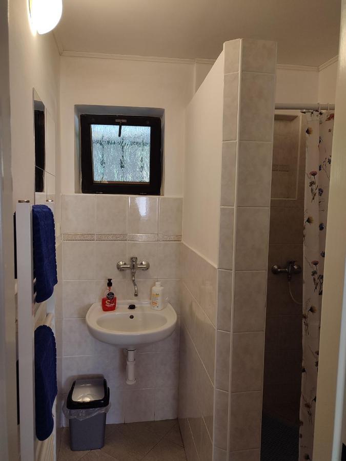 Appartement Pension Dana Karaskova à Kutná Hora Extérieur photo