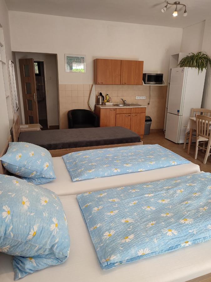 Appartement Pension Dana Karaskova à Kutná Hora Extérieur photo