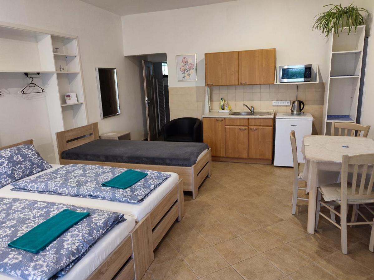 Appartement Pension Dana Karaskova à Kutná Hora Extérieur photo