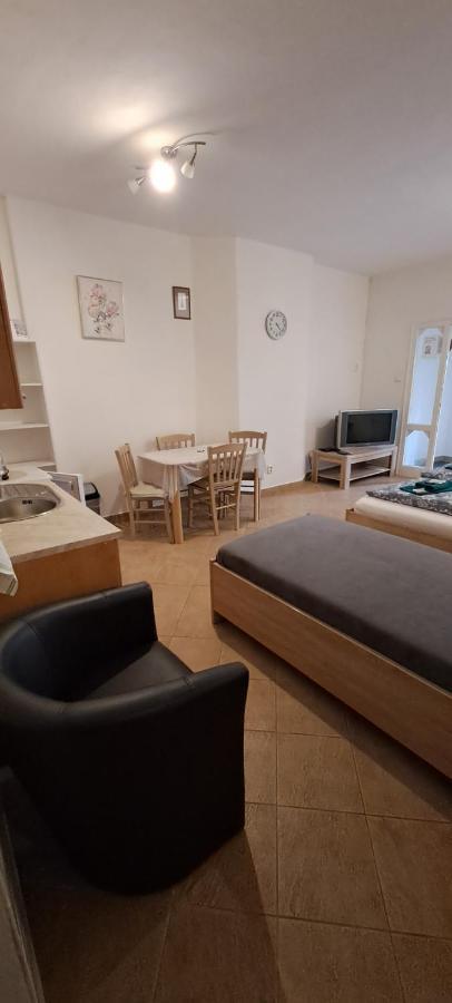 Appartement Pension Dana Karaskova à Kutná Hora Extérieur photo