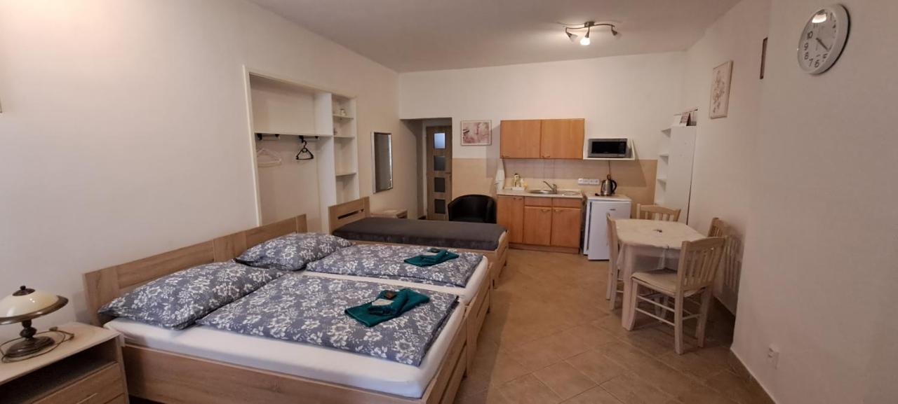 Appartement Pension Dana Karaskova à Kutná Hora Extérieur photo