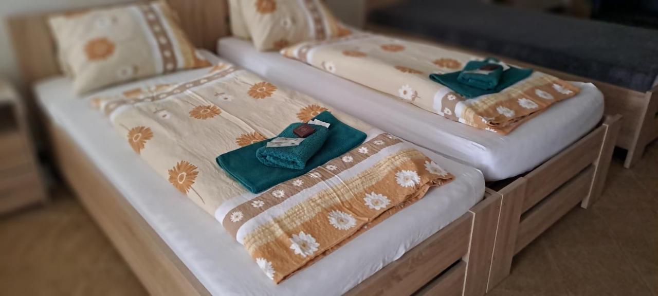 Appartement Pension Dana Karaskova à Kutná Hora Extérieur photo