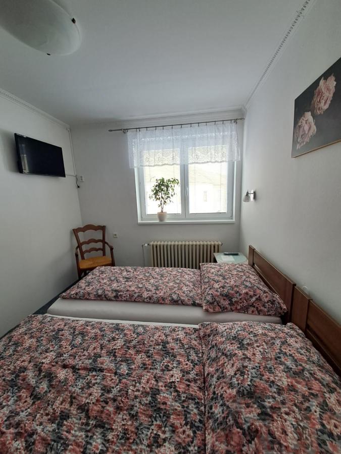 Appartement Pension Dana Karaskova à Kutná Hora Extérieur photo