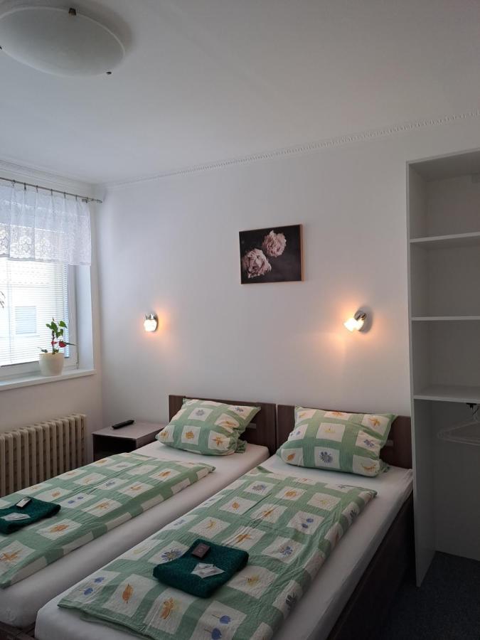 Appartement Pension Dana Karaskova à Kutná Hora Extérieur photo