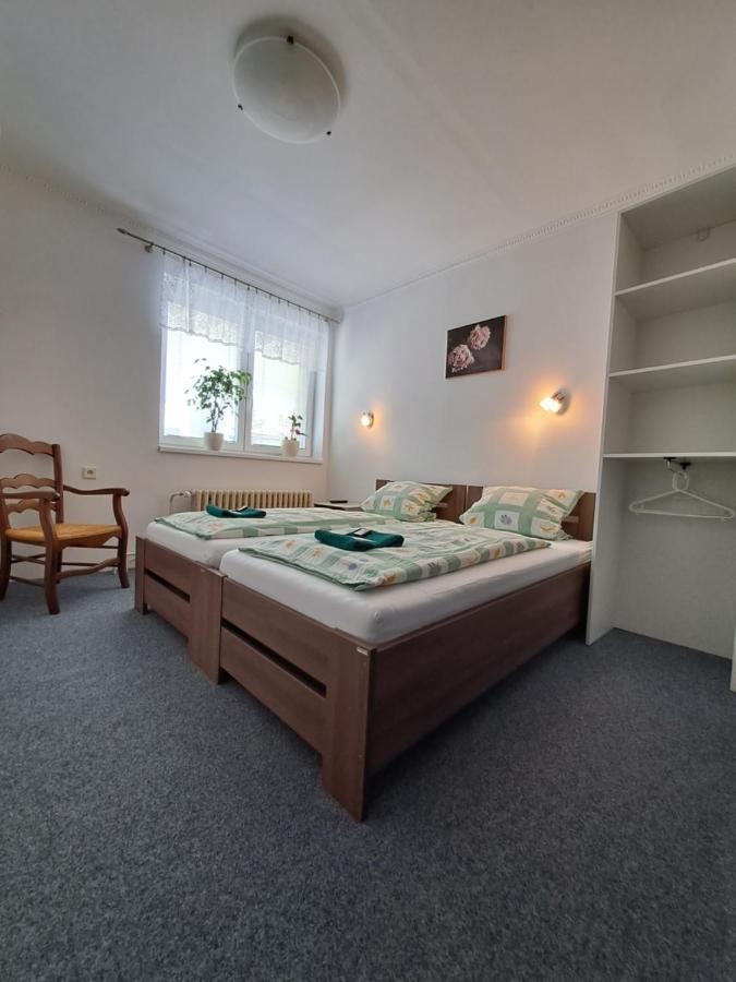 Appartement Pension Dana Karaskova à Kutná Hora Extérieur photo