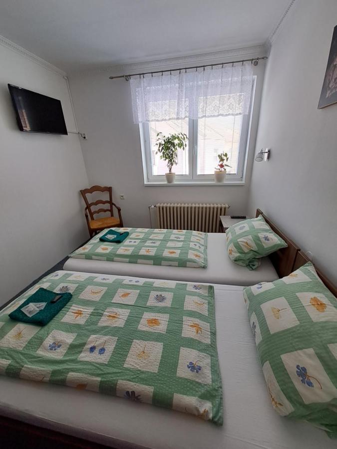 Appartement Pension Dana Karaskova à Kutná Hora Extérieur photo