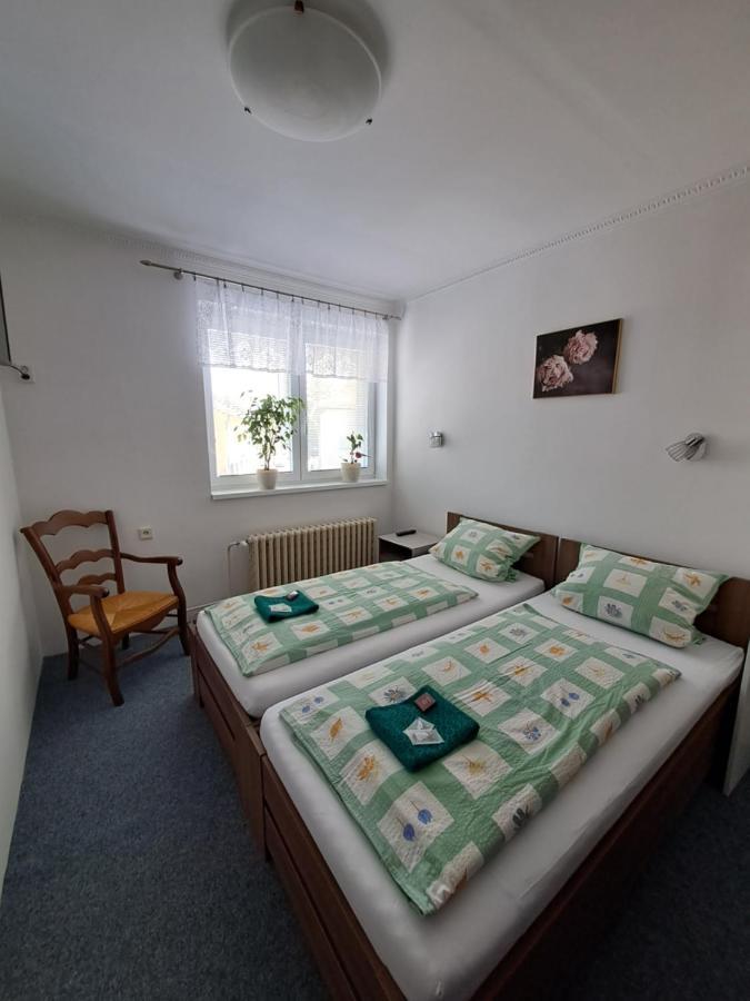 Appartement Pension Dana Karaskova à Kutná Hora Extérieur photo