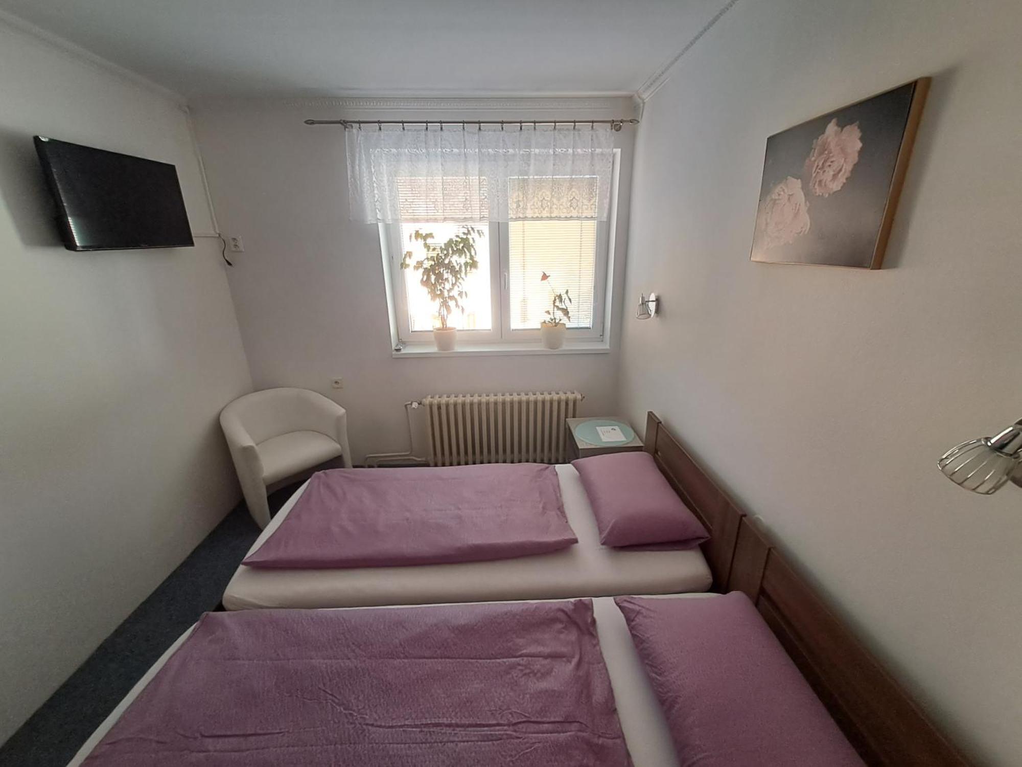 Appartement Pension Dana Karaskova à Kutná Hora Extérieur photo