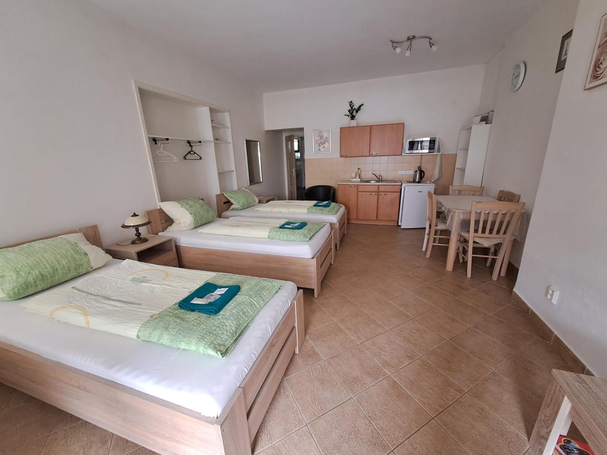 Appartement Pension Dana Karaskova à Kutná Hora Extérieur photo